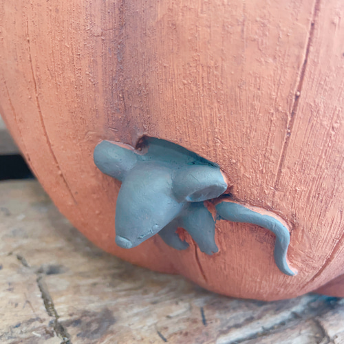 ラスト！大きめパンプキン陶器鉢！寄せ植えにもぴったり♪ハロウィン