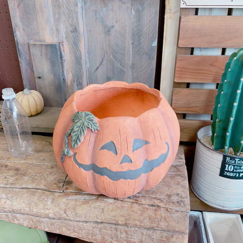 ラスト！大きめパンプキン陶器鉢！寄せ植えにもぴったり♪ハロウィン