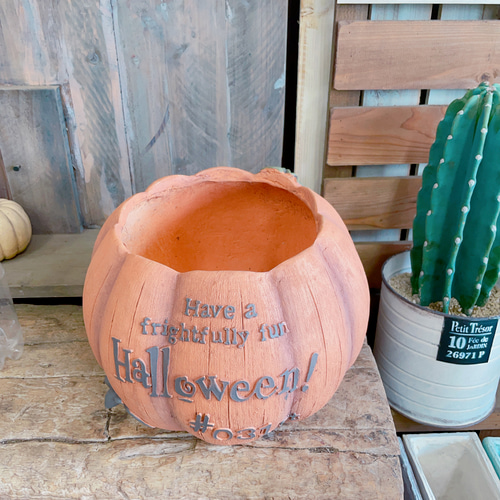ラスト！大きめパンプキン陶器鉢！寄せ植えにもぴったり♪ハロウィン