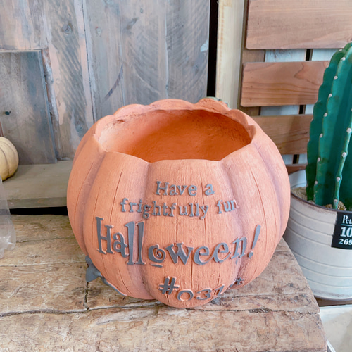 ラスト！大きめパンプキン陶器鉢！寄せ植えにもぴったり♪ハロウィン