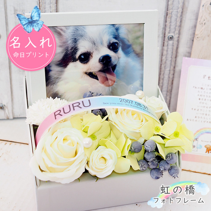虹の橋フォトフレームボックス ソープフラワー ペット お供え お供え花 仏花 虹の橋 レインボー メモリアル