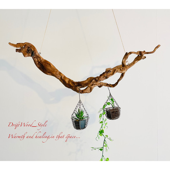 流木インテリア 芸術的な枝のうねりが美しい天然流木のハンガーラック 北欧 衣装掛け ハンギング 吊り下げ エアプラント 5枚目の画像