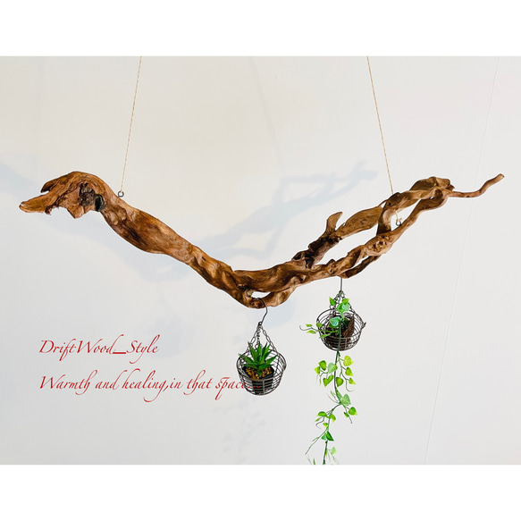 流木インテリア 芸術的な枝のうねりが美しい天然流木のハンガーラック 北欧 衣装掛け ハンギング 吊り下げ エアプラント 6枚目の画像