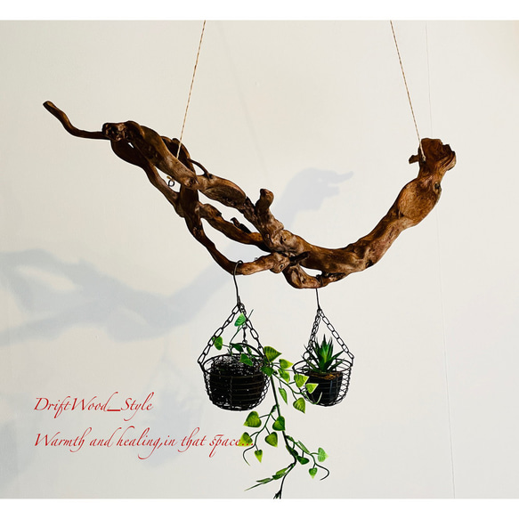 流木インテリア 芸術的な枝のうねりが美しい天然流木のハンガーラック 北欧 衣装掛け ハンギング 吊り下げ エアプラント 4枚目の画像