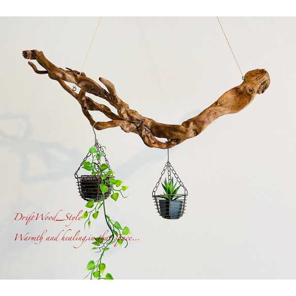 流木インテリア 芸術的な枝のうねりが美しい天然流木のハンガーラック 北欧 衣装掛け ハンギング 吊り下げ エアプラント 3枚目の画像