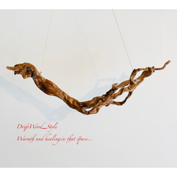 流木インテリア 芸術的な枝のうねりが美しい天然流木のハンガーラック 北欧 衣装掛け ハンギング 吊り下げ エアプラント 9枚目の画像