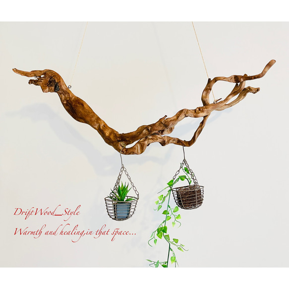 流木インテリア 芸術的な枝のうねりが美しい天然流木のハンガーラック 北欧 衣装掛け ハンギング 吊り下げ エアプラント 7枚目の画像
