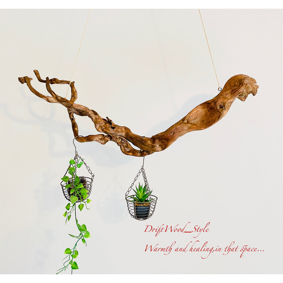 流木インテリア 芸術的な枝のうねりが美しい天然流木のハンガーラック 北欧 衣装掛け ハンギング 吊り下げ エアプラント 2枚目の画像