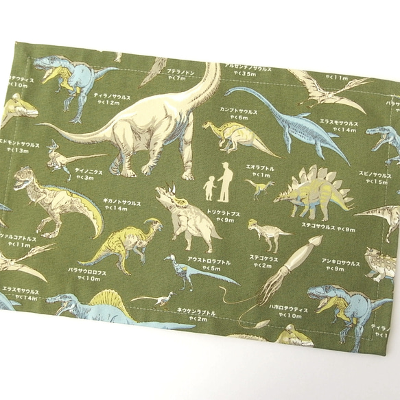 [20＊30cm]ランチョンマット　恐竜図鑑グリーン　lm-915-2 1枚目の画像