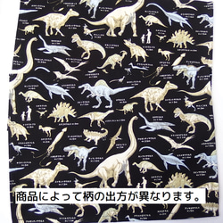[30＊40cm]ランチョンマット　恐竜図鑑ブラック　lm-916-1 4枚目の画像