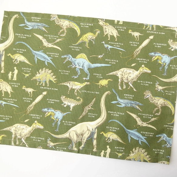 [30＊40cm]ランチョンマット　恐竜図鑑グリーン　lm-916-2 1枚目の画像