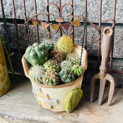 ビーズガーランド 赤サビ風 男前 ガーデンピック 多肉植物の寄せ植えに