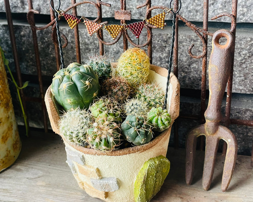 a4309837031872aa4eb05f27aa0621