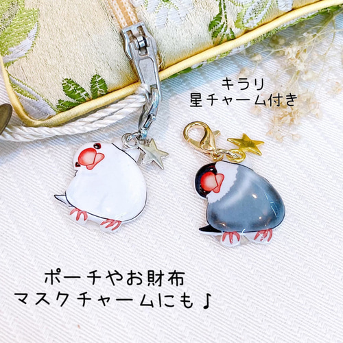 文鳥　桜文鳥　シナモン文鳥　白文鳥　チャーム　ストラップ　レジン　目印　マーカー 文鳥 桜文鳥 シナモン文鳥 白文鳥 チャーム ストラップ レジン