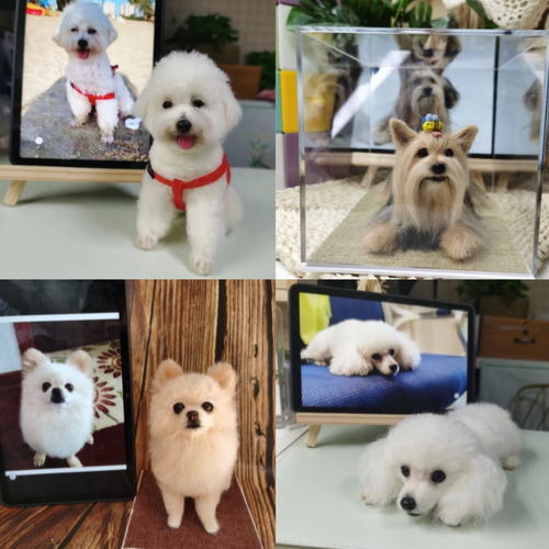 オーダーメイド】うちの子 犬猫リアルタッチ羊毛フェルト 全身
