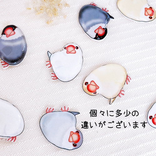 首かしげ文鳥 ピンバッジ ブローチ 白文鳥 桜文鳥 シナモン文鳥