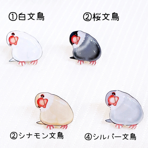 首かしげ文鳥 ピンバッジ ブローチ 白文鳥 桜文鳥 シナモン文鳥