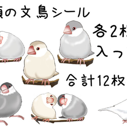 文鳥シール12枚セット 白文鳥 桜文鳥 シナモン シルバー ラッピング ギフト プレゼント ノート ペット 雑貨 8枚目の画像