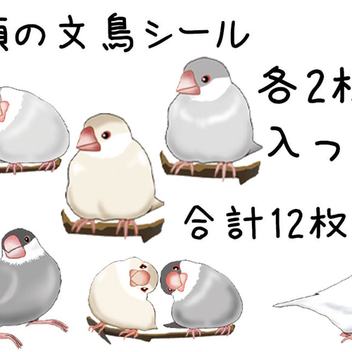 文鳥シール12枚セット 白文鳥 桜文鳥 シナモン シルバー ラッピング