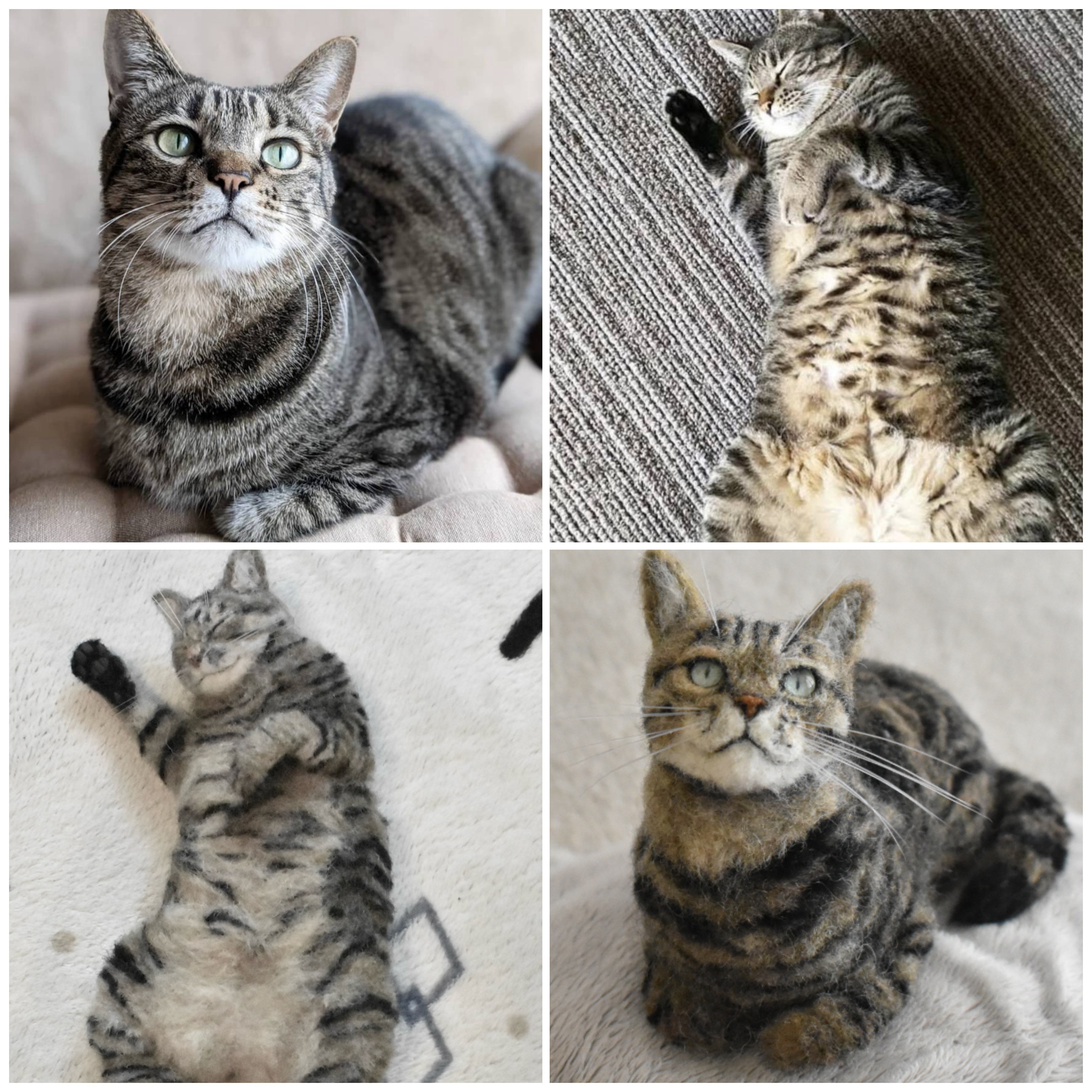 大特価 羊毛フェルト☆リアル猫ちゃん☆オーダー受付中 羊毛