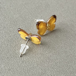 紋黄蝶pierce(monki Butterfly ) 3枚目の画像