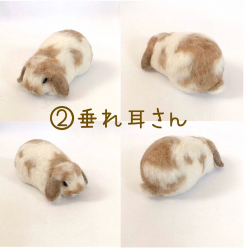 うさぎ 羊毛フェルト ロップイヤー ホーランドロップ