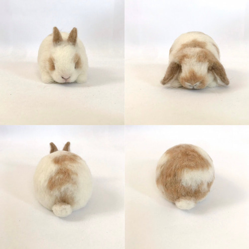 羊毛フェルト オーダー 「リアルで可愛いウサギちゃん」ホーランドロップイヤー たれ耳うさぎホーランドロップイヤー 羊毛フェルト | iichi 日々