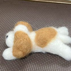 限定品♡ハンドメイド❤︎羊毛フェルト　キャバリア♡置物 人形　愛犬♡ 8枚目の画像
