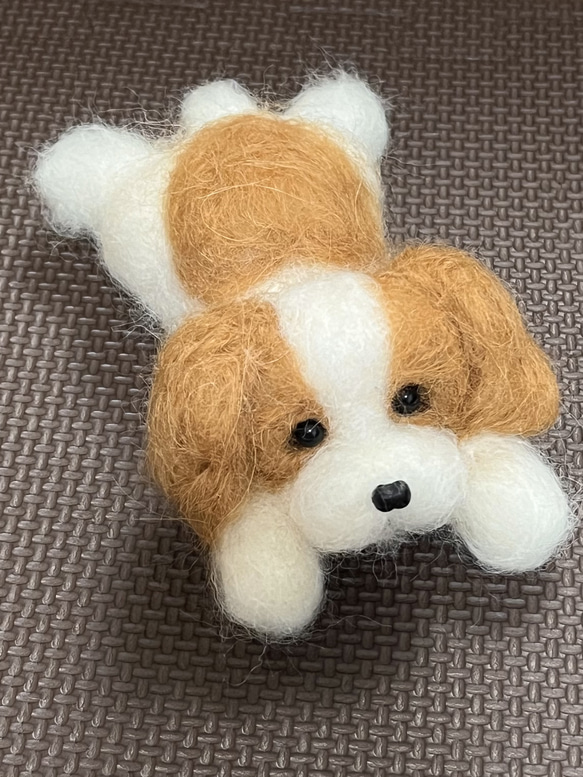 限定品♡ハンドメイド❤︎羊毛フェルト　キャバリア♡置物 人形　愛犬♡ 3枚目の画像
