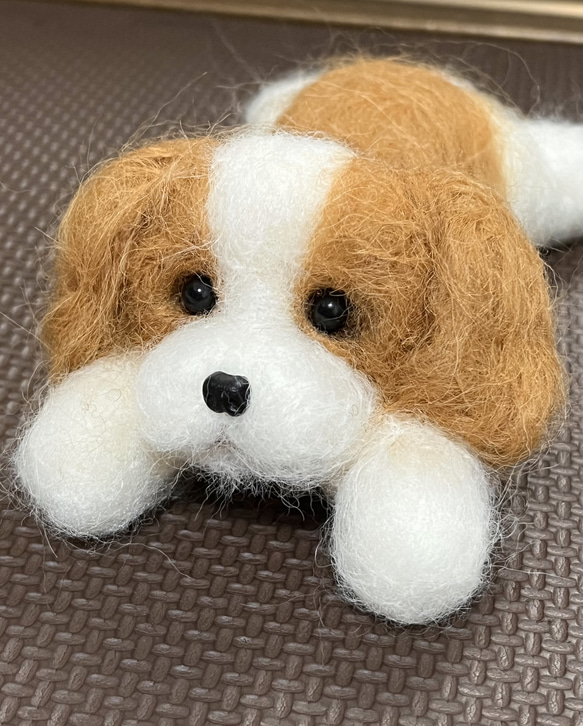 限定品♡ハンドメイド❤︎羊毛フェルト　キャバリア♡置物 人形　愛犬♡ 4枚目の画像