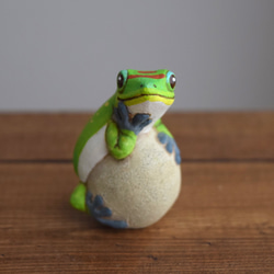 [客製化] 岩石上的壁虎 第3張的照片