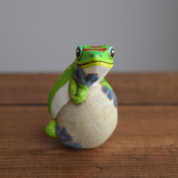 [客製化] 岩石上的壁虎 第3張的照片