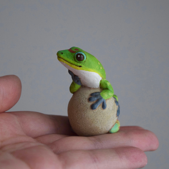 [客製化] 岩石上的壁虎 第7張的照片