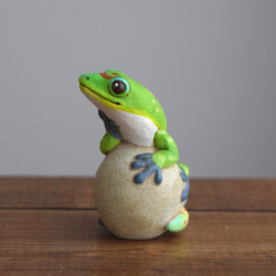 [客製化] 岩石上的壁虎 第1張的照片