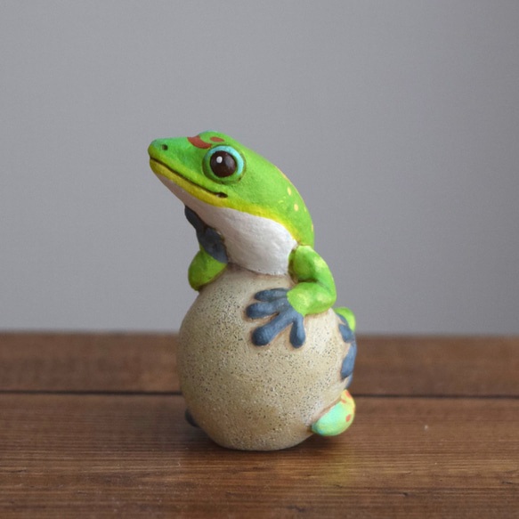 [客製化] 岩石上的壁虎 第1張的照片