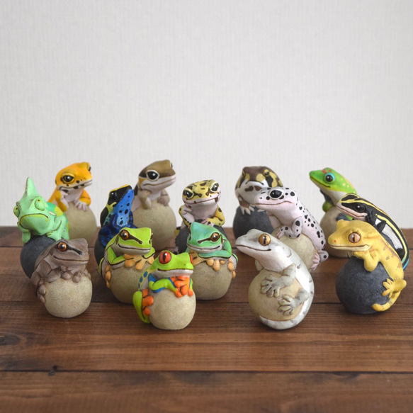 [客製化] 岩石上的壁虎 第4張的照片