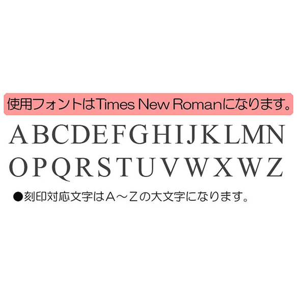 イーグル フラッグ メタル ポーカーチップ ゴルフマーカー 名入れ ＄デザイン 4枚目の画像