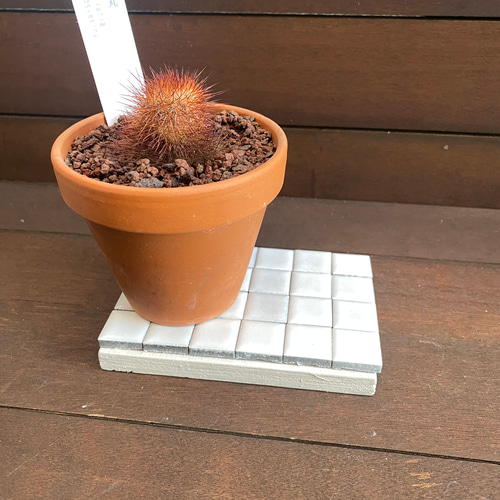 一点もの♪タイルディスプレイトレイ！タイルアート！ミニ観葉植物  