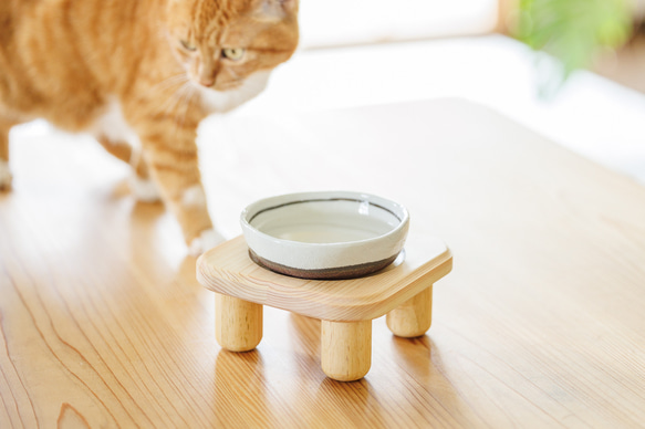 猫用食器台（テーブルのみ）１皿バージョン　【食器テーブル・ペット用・餌台・木製・ナチュラル】 1枚目の画像