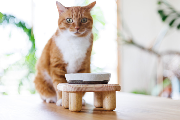 猫用食器台（テーブルのみ）１皿バージョン　【食器テーブル・ペット用・餌台・木製・ナチュラル】 2枚目の画像