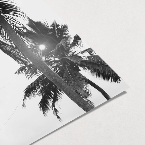 ☆インテリアフォトポスター - PALM TREE-【539】 8枚目の画像