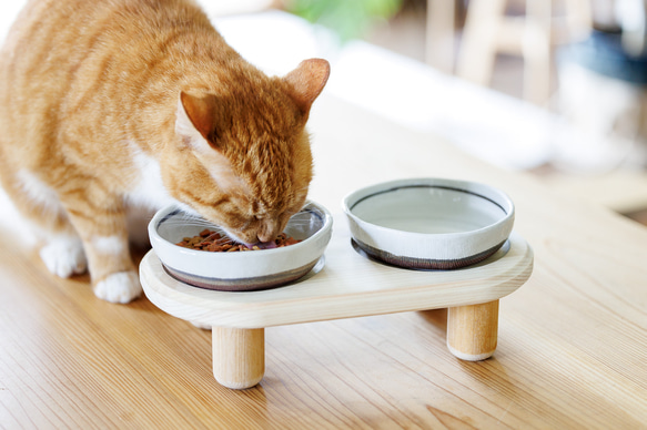 猫用食器台（テーブルのみ）・丸足バージョン　【食器テーブル・ペット用・餌台・木製・ナチュラル】 1枚目の画像