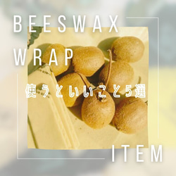 オーガニック蜜蝋ラップ・ミツロウラップOrganic Beeswax Wraps Medium Pack (S.M.L) 11枚目の画像