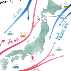 【SALE】日本地図 ポスター 海流 北欧デザイン A4 A3 A2サイズ 4枚目の画像