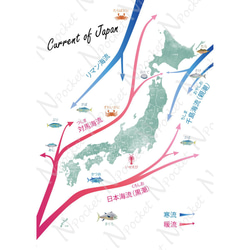 【SALE】日本地図 ポスター 海流 北欧デザイン A4 A3 A2サイズ 3枚目の画像