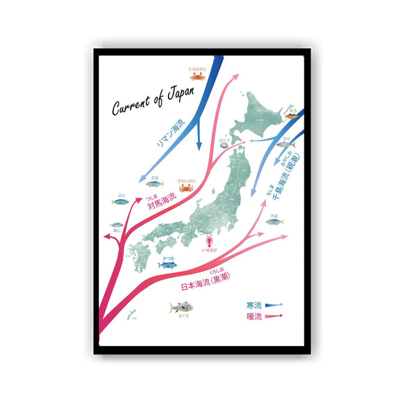 【SALE】日本地図 ポスター 海流 北欧デザイン A4 A3 A2サイズ 2枚目の画像