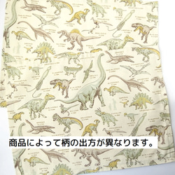 [30＊40cm]ランチョンマット　恐竜図鑑ホワイト　lm-916-3 4枚目の画像
