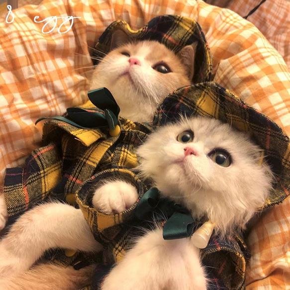 帽子付き チェック ワンピース （黒） 犬服 猫服 犬の服 ペット