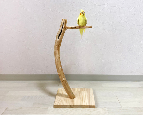 雀　古美術　伝統工藝　木工彫刻　宿木　鳥　止まり木　ガラス眼 雀 古美術 伝統工藝 木工彫刻 宿木 鳥 止まり木 ガラス眼