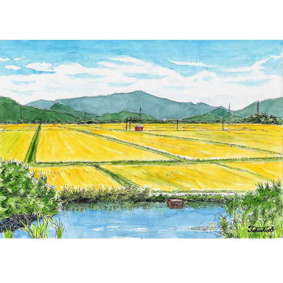 原画一点物 「稲穂が黄金色に変わる秋の農村」 ＜ペンスケッチ＋透明